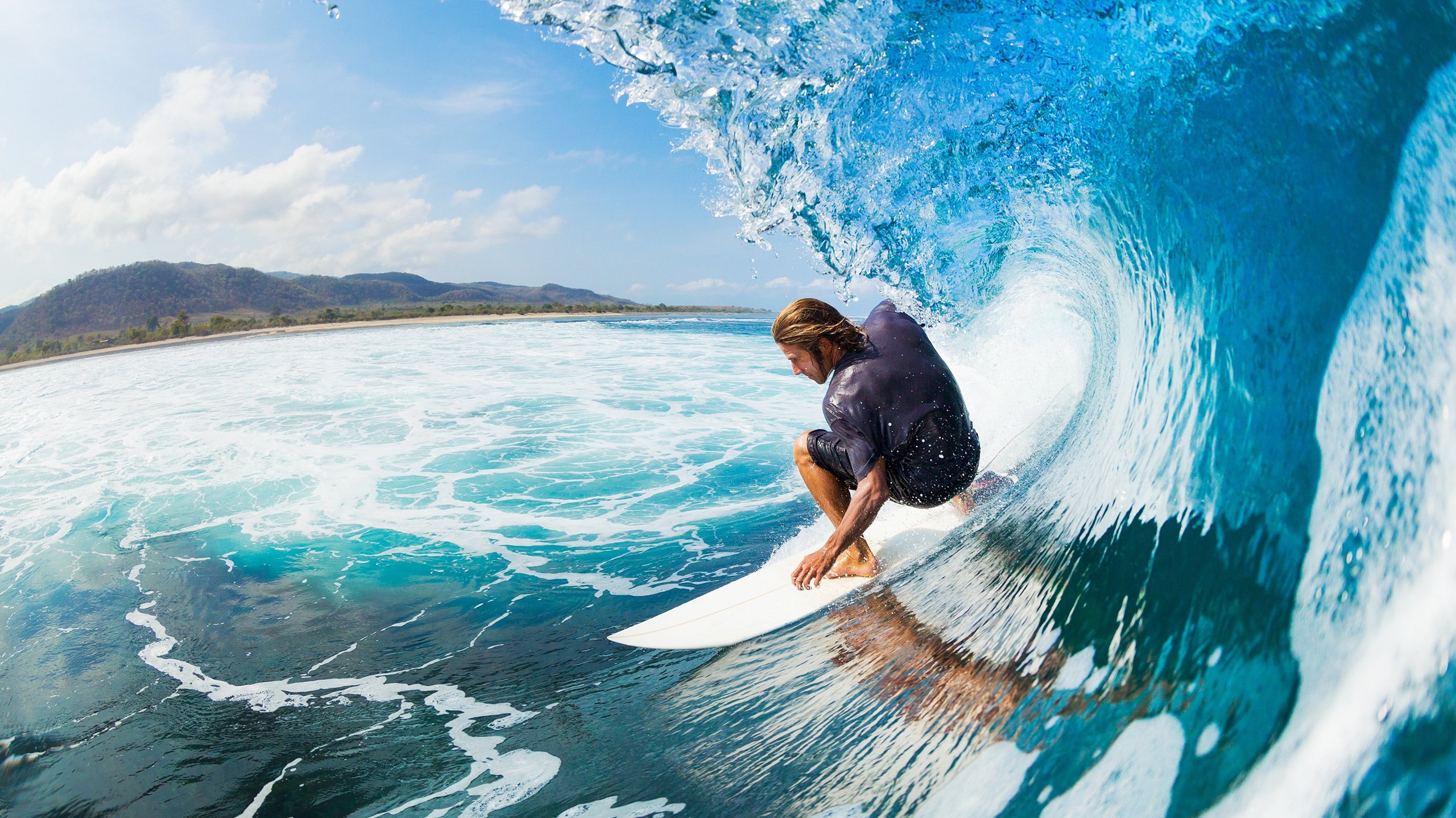 开云APP-_老虎般的猛龙，鏖战到底笑到最后_，迅猛的老虎